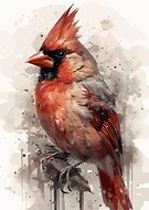 2025-01-14/65e9de40-a461-4917-96f7-232494c05ff9