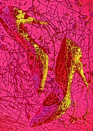 2025-01-14/79698c58-eabf-4346-ad7c-17f754159f7d