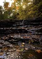 2025-01-14/b97333c9-17bc-4e11-b0dc-c897bfdfeda8