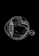 2025-01-16/45c4001d-5b51-4f3f-8f40-4dcf53f9778a