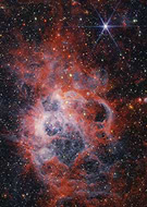 2025-01-16/86876332-67b7-421c-9e35-afa775415853