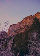 2025-01-17/b720bc18-cd7a-4f77-9167-48e21ed4afbc