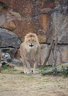 2025-01-18/003ea001-6996-45f7-8c5a-7f6b94499760