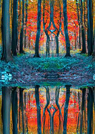 2025-01-18/8693b401-be84-47e4-a901-b45510aa2538