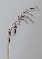 2025-01-19/1632122f-070f-4d55-9572-2ac9c1d9755a