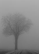 2025-01-19/9a4c2785-e27b-46be-be9f-5a7ff499bac7