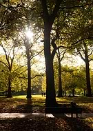 2025-01-19/cf3bb98f-a9a2-4221-8d01-8a883f590edf