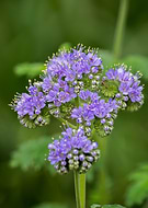 2025-01-20/1d651625-e1da-4900-9778-069e3497cbef