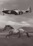 2025-01-20/ef9e5149-d194-4e49-a51a-72fb531fe056