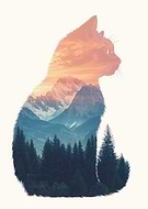 2025-01-22/568a6e20-f2c0-4420-9cd9-f335b8c52ca3