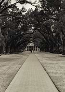 2025-01-22/c9a09d76-95fb-4a29-a3dc-f071fa0acf5f