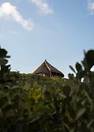 2025-01-23/f878440d-323e-4906-a560-3fd5244b2933