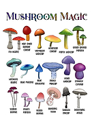 2025-01-24/f0b7ebdc-8a43-4fa3-92b6-3d80e5c4815a