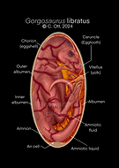2025-01-25/a89ae1a5-3b85-4acc-bb0f-6c3aee93d344