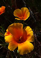 2025-01-25/bab8b7ac-726f-447b-8c99-97aa8a3e9adc