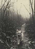 2025-01-26/fd9a898b-9bee-4d59-b361-92a363801283