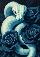 2025-01-27/1e176685-e492-440a-b909-9532beea7a84