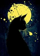 2025-01-27/707bcd5d-68ae-4004-b35e-256cba315b8b