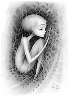 2025-01-28/758fc2c2-175e-49b1-8e5b-53538f35cb5b