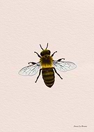 2025-01-29/301e0f9d-2b52-4904-a6eb-9fc63e2d0b53