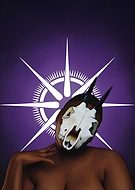 2025-01-29/49666930-6dc6-40b9-8330-375288237058