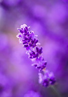 2025-01-30/54a6c5ff-3ebe-4726-a89d-ea2463be98c6