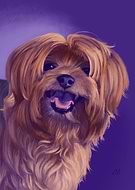 2025-01-30/ac6bab71-dd87-4c43-8a1e-d7fd62bba0a6