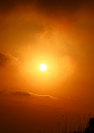 2025-01-30/bd19a8ac-b534-4155-a676-46ad5d7e4b35