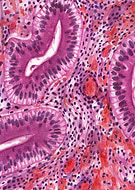 2025-01-30/c6115c47-6358-4433-b26c-b613563cdf36