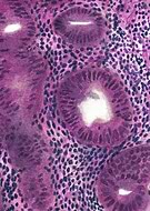 2025-01-30/d285979a-3680-4567-b4a8-6755d142468c