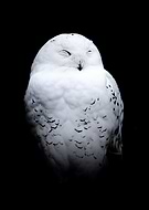 2025-01-30/ed0d762f-80b3-44af-be28-df052e8ec9af