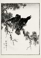 2025-02-01/fa7668dd-8514-4a15-a5b9-14a582743b60