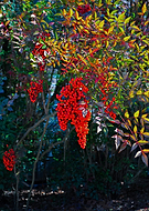 2025-02-02/738b6765-2473-4d82-8942-b3a6deea800d