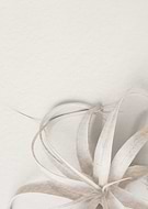 2025-02-03/1d279928-a8ef-4c35-ac68-78187d401c13