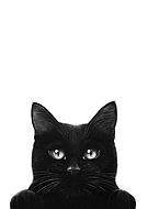 2025-02-03/9be97b4e-375e-4e5c-b08a-3afcbed0e365