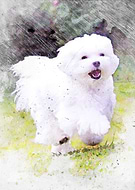 2025-02-03/d9d0ff08-2a6f-47f9-97a6-1fb81a56f5e9