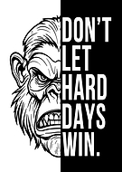 2025-02-04/0773284d-db71-4a03-95f3-2c42fd602d23