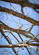 2025-02-05/0f296a54-cfe3-43de-8ac6-1ebd10077c93