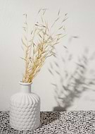 2025-02-05/cbc3aaf3-5970-4b84-a4f9-c682442f3619