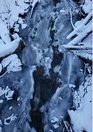 2025-02-06/8329222f-242e-4eab-956f-68413b2e213a