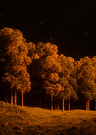 2025-02-07/3a2dbbb4-c2f0-4c03-91d0-0119de0b8f37