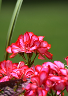 2025-02-08/5e0f8181-8ecb-4f5e-a84b-f45df3c86cb3