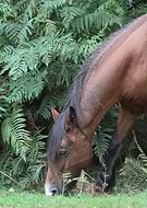 2025-02-08/665a712b-9a8d-4df5-bdc9-8bd263b0b01c