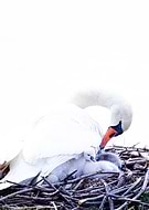 2025-02-09/a9139994-2d19-4e25-910c-156e5fdd1965