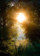 2025-02-09/e4b27ab8-a358-4961-9caf-9a169409f8fa