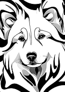 2025-02-10/5a652fc2-821e-45af-b247-22f59de35d78