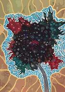 2025-02-10/c4aa6d71-b8ca-4088-a893-b1f7b8e9edd1