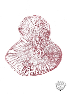 2025-02-11/3dbfcd06-72fd-4d10-8d01-fefe14b97905