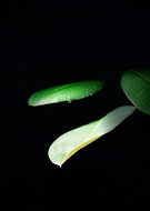 2025-02-11/65a779ff-9d95-46c6-bcad-c35e640bb4c3