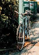 2025-02-11/66c2ad82-b0bf-4458-b984-23905c7a3754